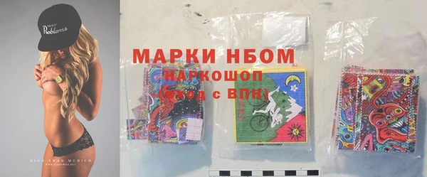 стафф Бородино
