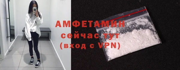 стафф Бородино