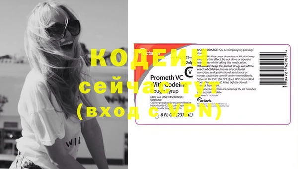 стафф Бородино