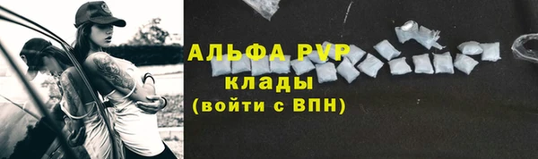 стафф Бородино
