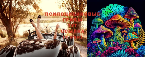 хмурый Бронницы