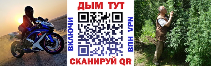 дарнет шоп  Козельск  Бошки Шишки семена 